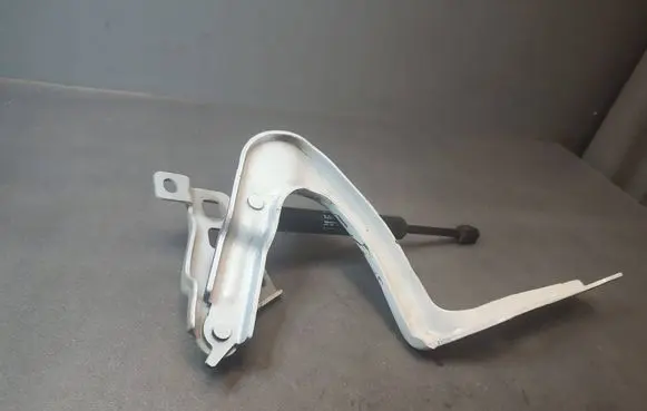 Tesla Model Y Engine bonnet/hood hinges 169257600A