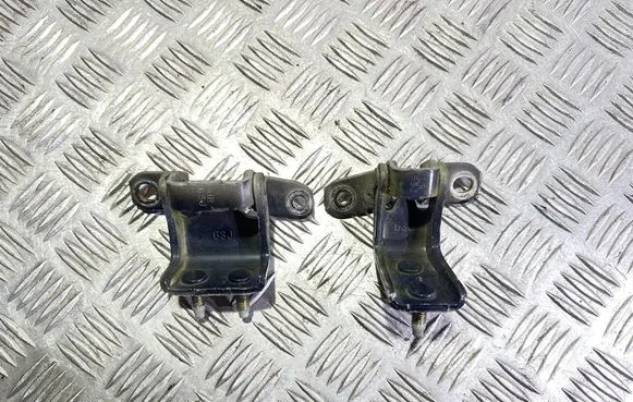 Suzuki Grand Vitara II Rear door hinge set 