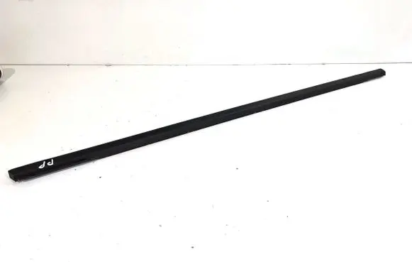 Ford Focus Front door glass trim molding 