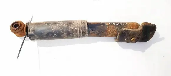 Hyundai Santa Fe Rear shock absorber/damper