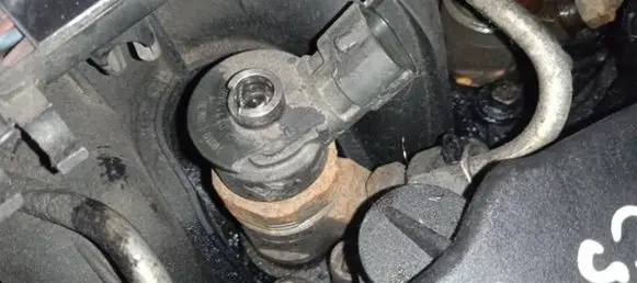 Citroen C5 Fuel injector 0445110297