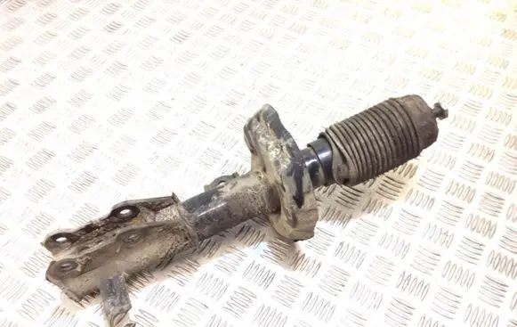 Opel Insignia A Front shock absorber/damper