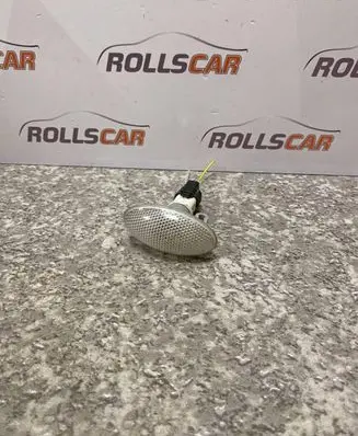 Front fender indicator light
