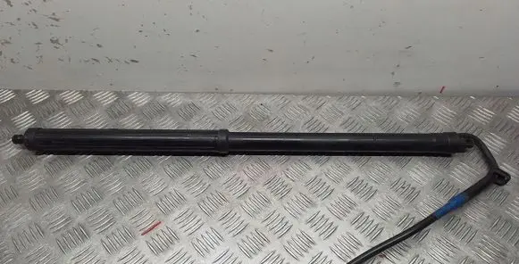 Tailgate/trunk strut/damper
