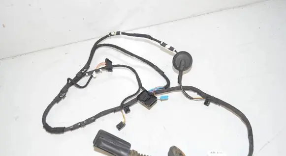 Rear door wiring loom