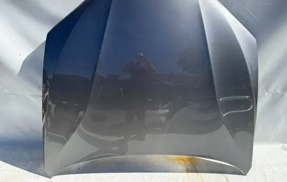 Engine bonnet/hood