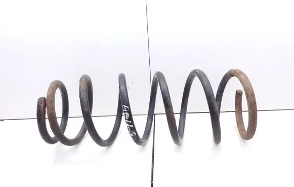 Rear coil spring