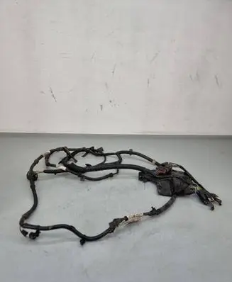 Land Rover Evoque II Other wiring loom P8d29l468