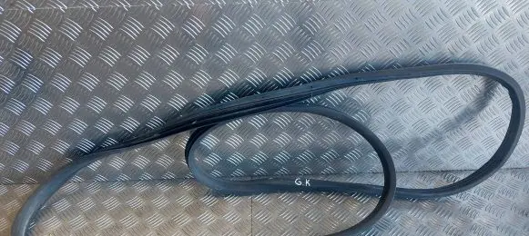 Rear door rubber seal (on body)