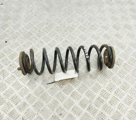 MG MG5 ev Rear coil spring 10015494