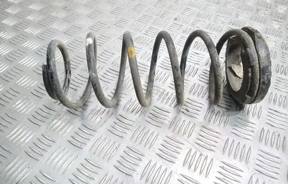 Hyundai i20 (PB PBT) Rear coil spring