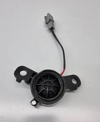 Front door high frequency speaker