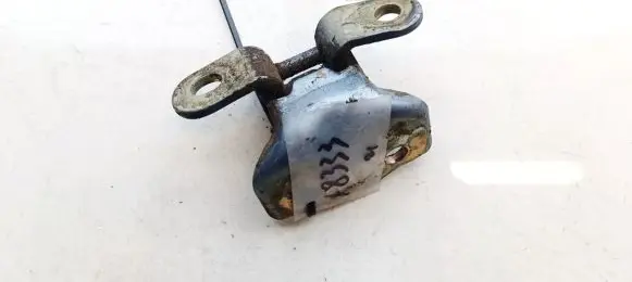Hyundai Santa Fe Rear door lower hinge