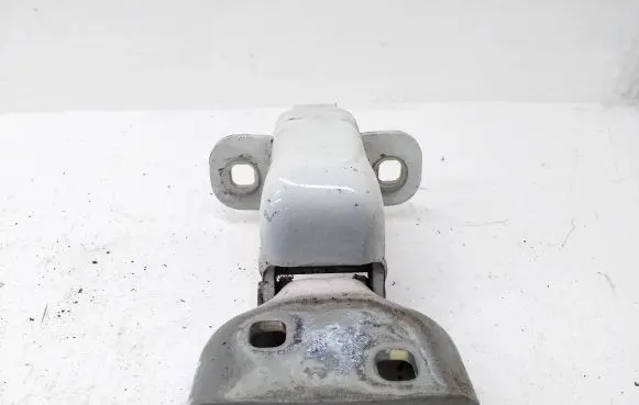 Renault Trafic II (X83) Front door lower hinge GM66380 311772N