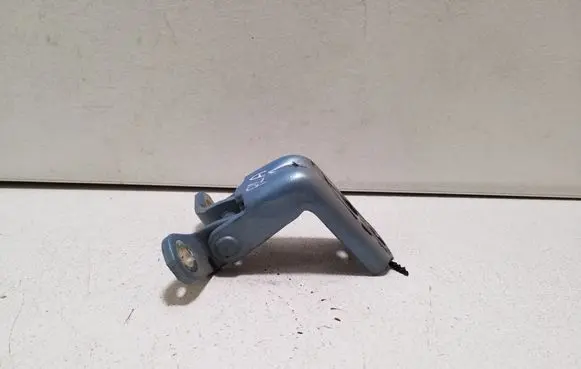 Nissan Leaf I (ZE0) Front door lower hinge 
