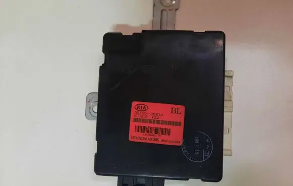KIA Sorento Other control units/modules 954003E810