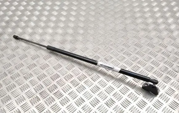 Tailgate strut