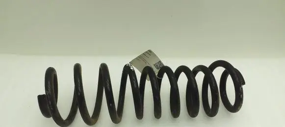 Ford Mustang V Rear coil spring