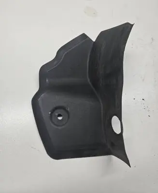 Rear/tail light trim molding