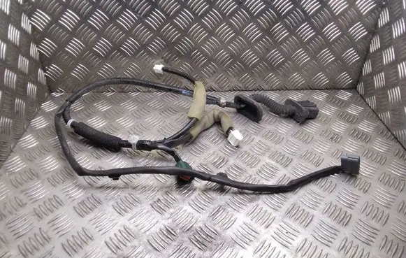 Nissan Leaf I (ZE0) Rear door wiring loom 241273NA0A