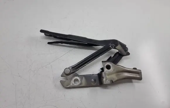 Cupra Born Engine bonnet/hood hinges 10a823301a