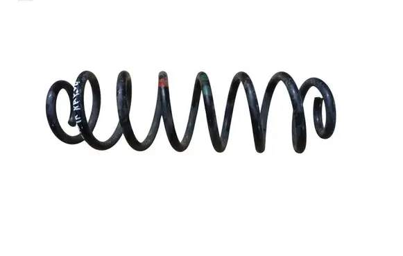 Rear coil spring