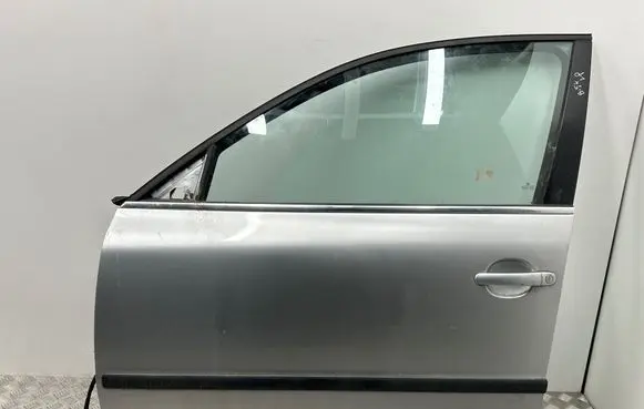 Volkswagen PASSAT B5.5 Front door