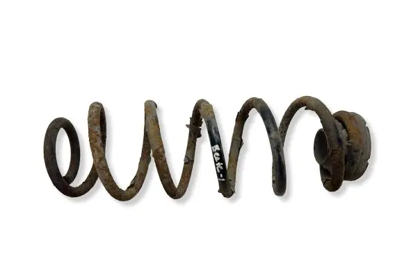 Volkswagen New Beetle Rear coil spring 