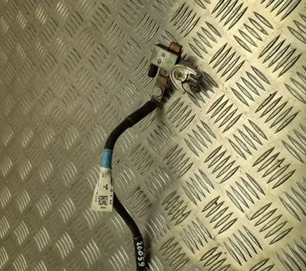 Tesla Model S Other wiring loom 100565300N