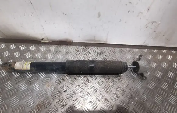 Ford Escape III Rear shock absorber/damper CV6118080