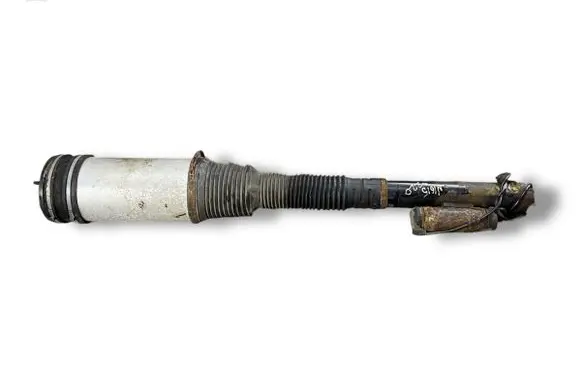 Mercedes-Benz S W220 Shock absorber/damper/air suspension C08605406 101130116362