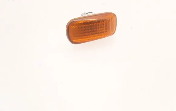 Front fender indicator light