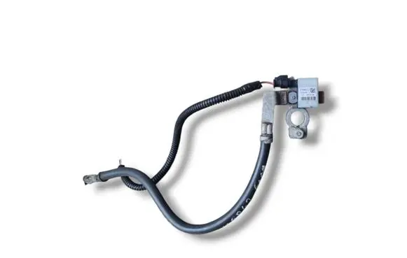 Ford Kuga II Negative earth cable (battery) F1FT-10C679-BA