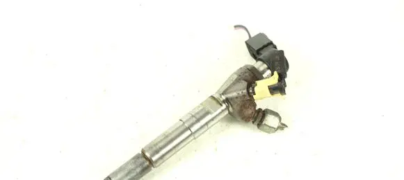 Nissan Juke I F15 Fuel injector H8201100113 166006212R