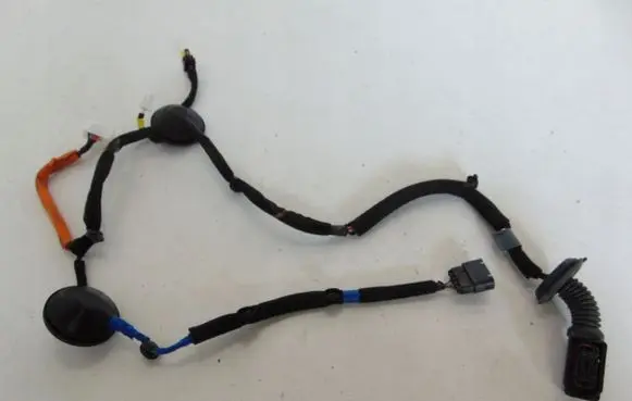 Rear door wiring loom