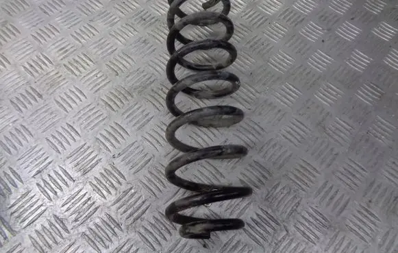 Renault Megane II Rear coil spring