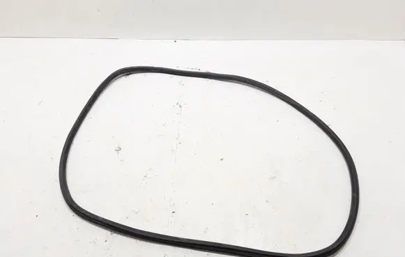 Front door rubber seal