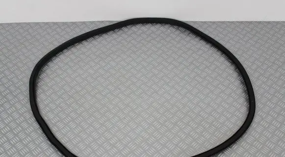 Ford Focus Rear door rubber seal (on body) JX7BN253A10AD