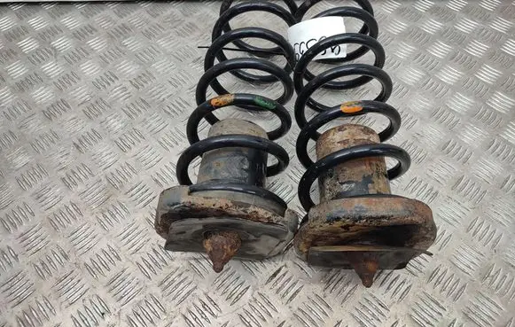 Rear coil spring