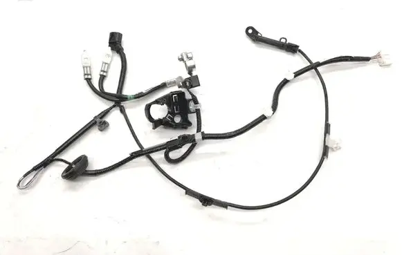 Toyota RAV 4 (XA50) Positive wiring loom 8218342160 8216542120