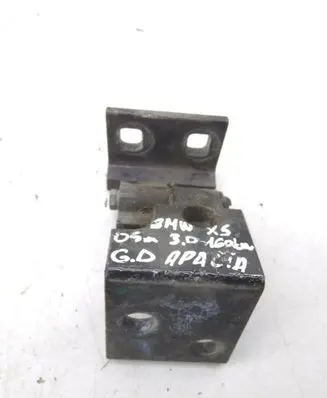 BMW X5 E53 Rear door lower hinge