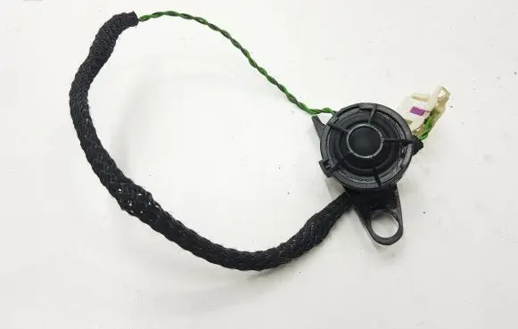 Front door high frequency speaker