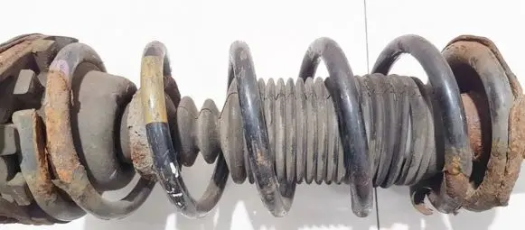 Nissan Almera N16 Rear coil spring