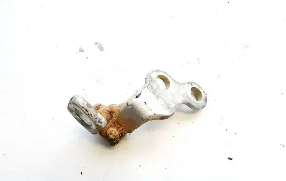 Ford Focus Rear door lower hinge