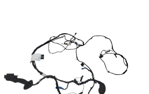 Front door wiring loom