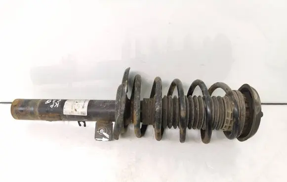Peugeot 207 Front shock absorber with coil spring 824903008548 313679
