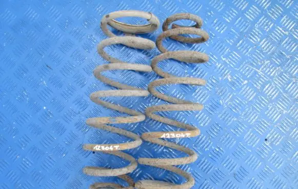 Peugeot Expert Rear coil spring