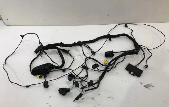 BMW X2 F39 Other wiring loom