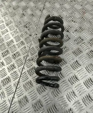 Rear coil spring