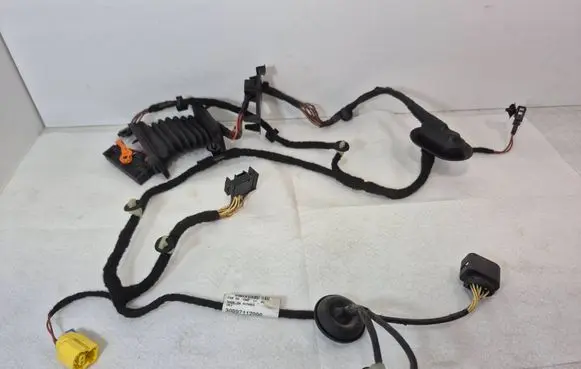 Volkswagen PASSAT B7 Front door wiring loom 3AB971120AG TAB016297FF